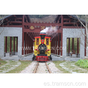 Tren de la pista de atracciones de nuevo y de alta calidad.